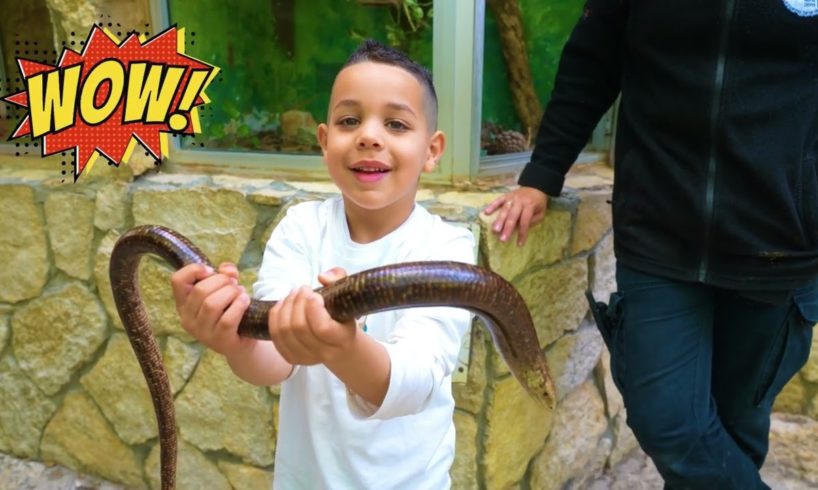 Adam playing at the zoo with animals and feeds them