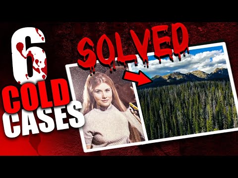 Cold Cases That Were Solved In 2023 | True Crime Documentary | Compilation