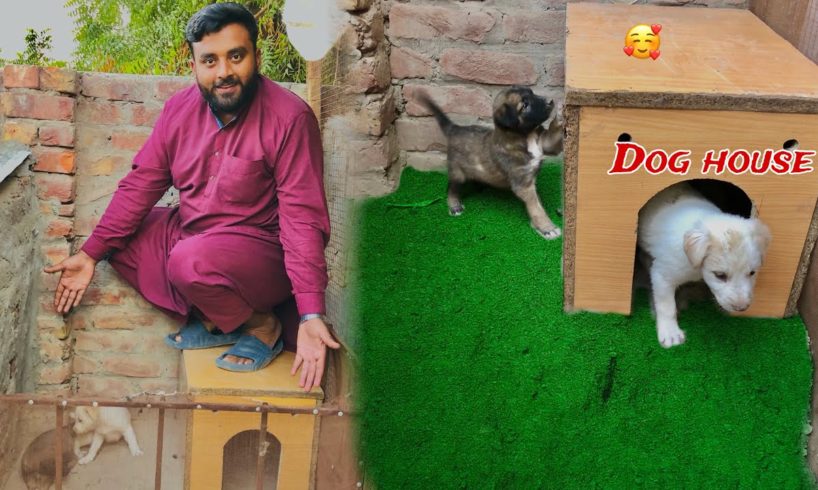 Dog house complete ho gay🏡|| Dihat Main Ronak