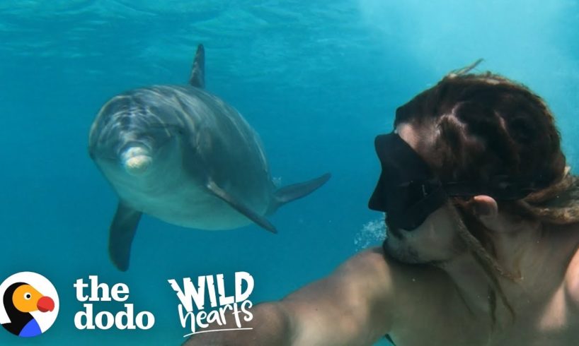 Dolphin Loves To Play With Every Person And Dog He Sees | The Dodo Wild Hearts