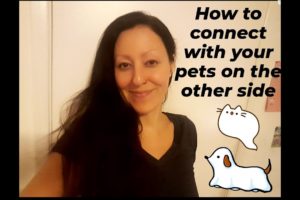 How to communicate with your pets that have passed away | Pets in the afterlife