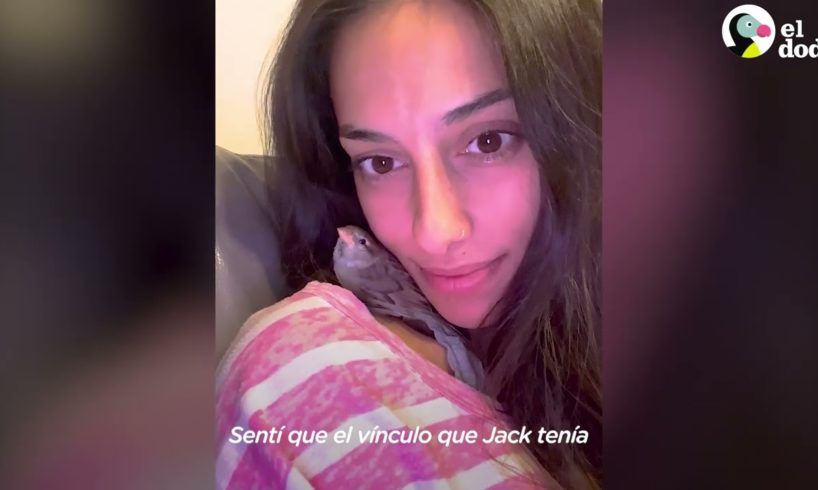 Mujer rescata a un pequeño gorrión bebé más pequeño que el estuche de los AirPods | El Dodo