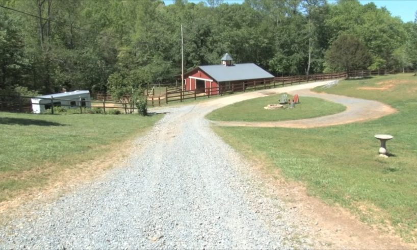 North Georgia Farm B&B Features Many Rescued Animals