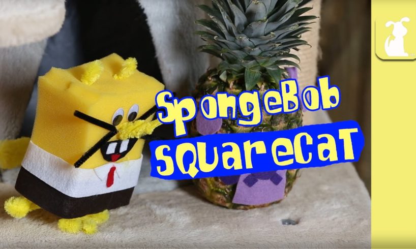 SpongeBob SquarePants (Cute Kitten Version)