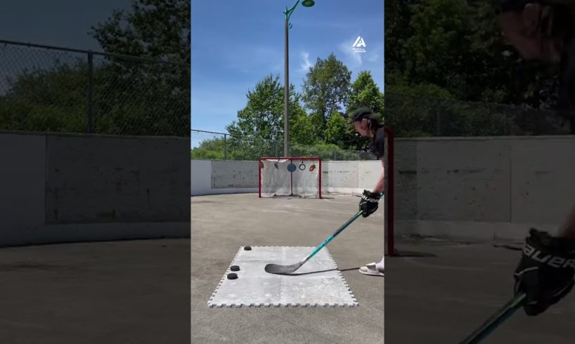 This Guy Can't Miss With A Hockey Stick | People Are Awesome