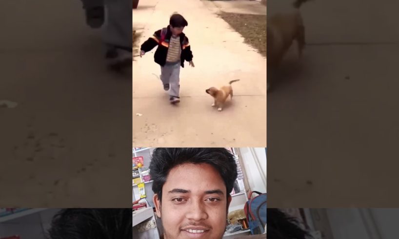 tere jaisa yaar kaha #shorts #youtubeshorts #animal