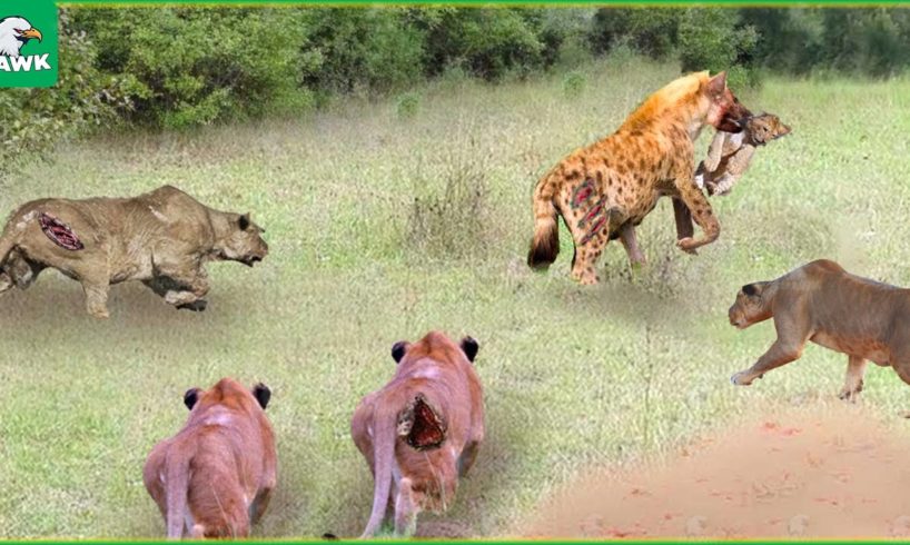 30 Tragic Moments! The Lion Rescued His Cub From The Hyena | Animal Fight