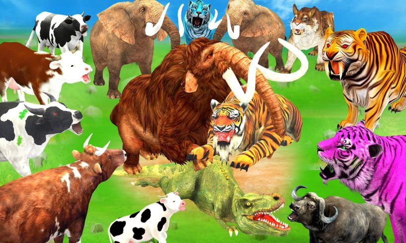 5 Giant Tiger Vs Zombie Dinosaur Chase Fight 5 Cow Cartoon Buffalo Saved by Woolly Mammoth Vs Tiger