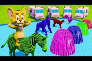 Animal Game: Lion, Hippo, Gorilla, Elephant Cross Color Fountain - Animal Fountain Crossing