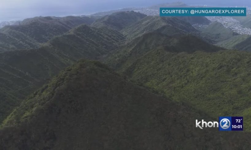 Barking dog rescues owner who fell more than 100 feet off hiking trail