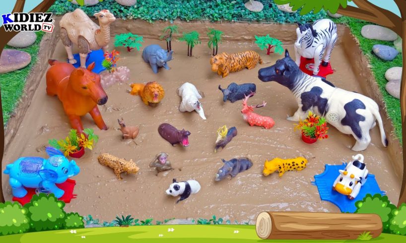 Big Horse, Cow, Zebra, Camel & Wild Zoo Animals Muddy Adventure! Fun Learning through Play