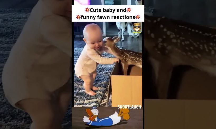 Cute Baby and funny fawn reactions🦌😍💥 #shorts #ytshorts #youtubeshorts #viral #respect #fawn #deer 😍