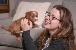 Cute Puppies Grow from Birth to 10 Weeks Old