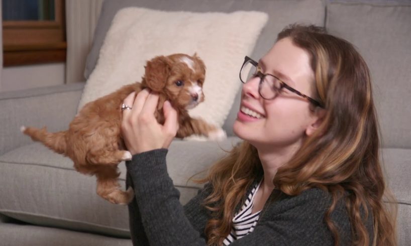 Cute Puppies Grow from Birth to 10 Weeks Old