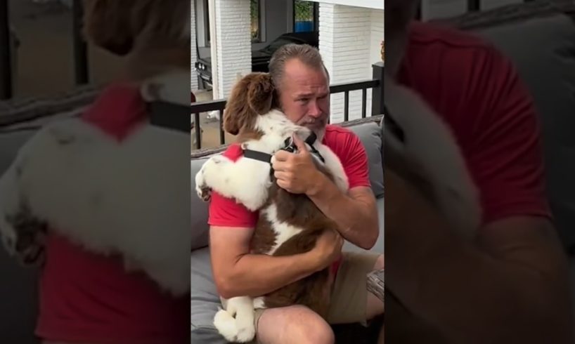 Dad breaks down into tears after family surprises him with new puppy 🥹❤️