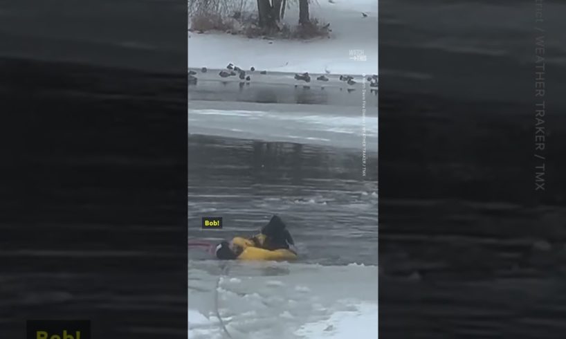 Firefighters Rescue Dog From Icy Pond That Froze Over in Utah