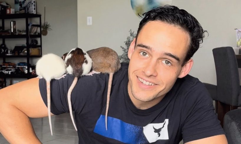 Man lives with 6 rats, says they are basically his kids