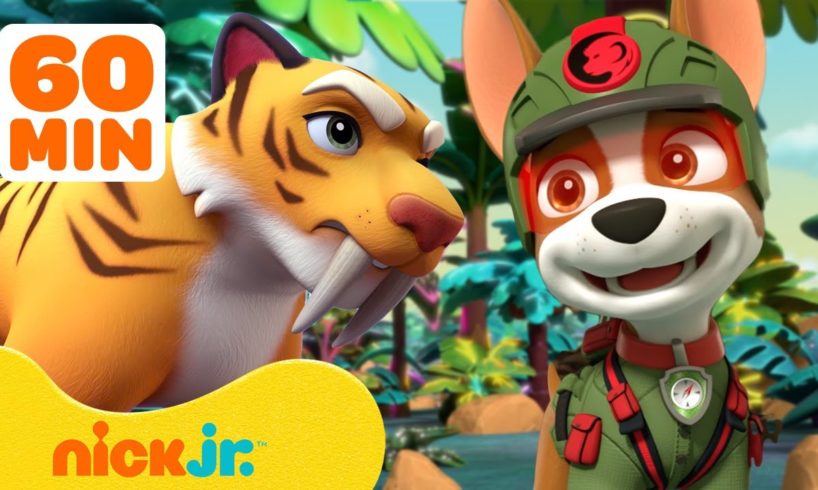 PAW Patrol's Jungle Pups Rescue Giant Animals! 🐯 w/ Marshall & Tracker | 1 Hour | Nick Jr.