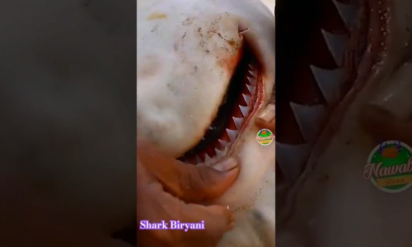 SHARK BIRYANI.. First Ever Shark Biryani in Youtube, Baby shark Biryani for Needy. YUMMY SHARK