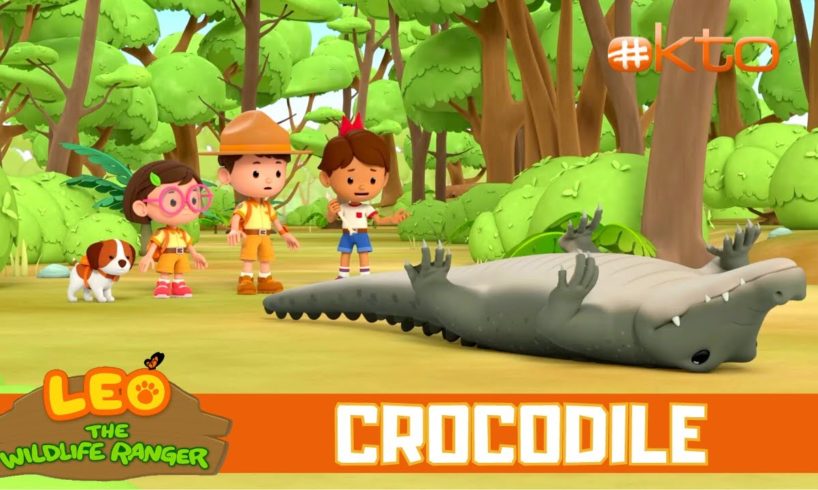 Why is the CROCODILE upside down? | Leo the Wildlife Ranger Spinoff S3E11 | @mediacorpokto