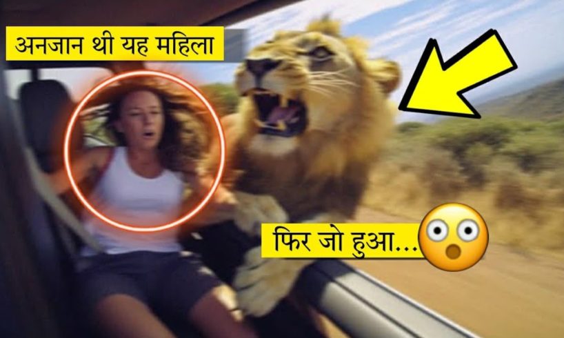 🤯......अचानक ले लिया बदला और फिर जो हुआ... |Animal Encounter Caught On Camera |RNM Facts