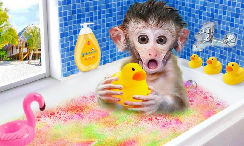 🐵 Cute monkey baby bath in the rainbow bathtub with duck | Animals Home Monkey Cartoon Video