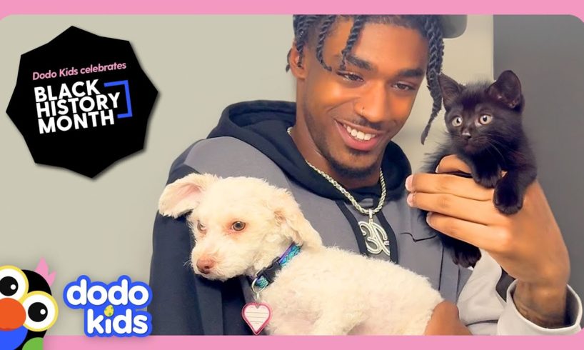 Football Player Rescues Puppy AND Kitten?! | Dodo Kids | Rescued!