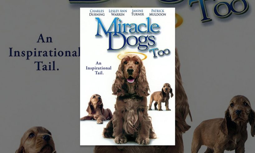 Miracle Dogs Too