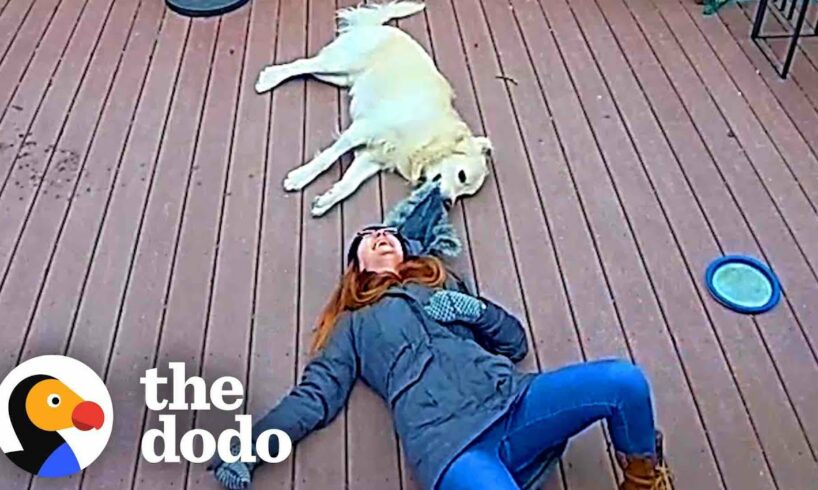 Ring Camera Catches Woman And Her Dog In The Happiest Moment Ever | The Dodo