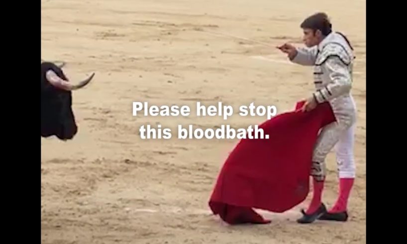 Shocking Video Shows What Bullfighting Really Looks Like