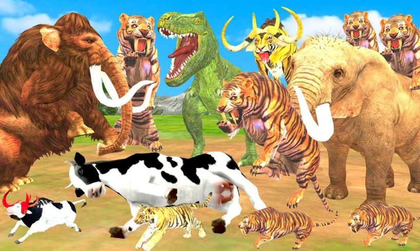 Tiger Bull Fight Giant Tiger Attack Cow Cartoon Buffalo Saved by Woolly Mammoth Elephant Vs T-Rex