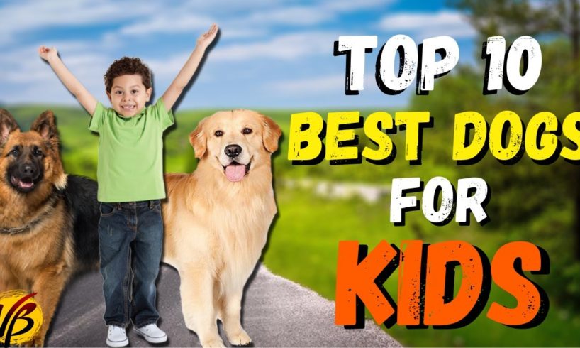 Top 10 Best Dogs for Kids | Best Dog Breeds For Kids in Hindi | Kids Friendly Dogs