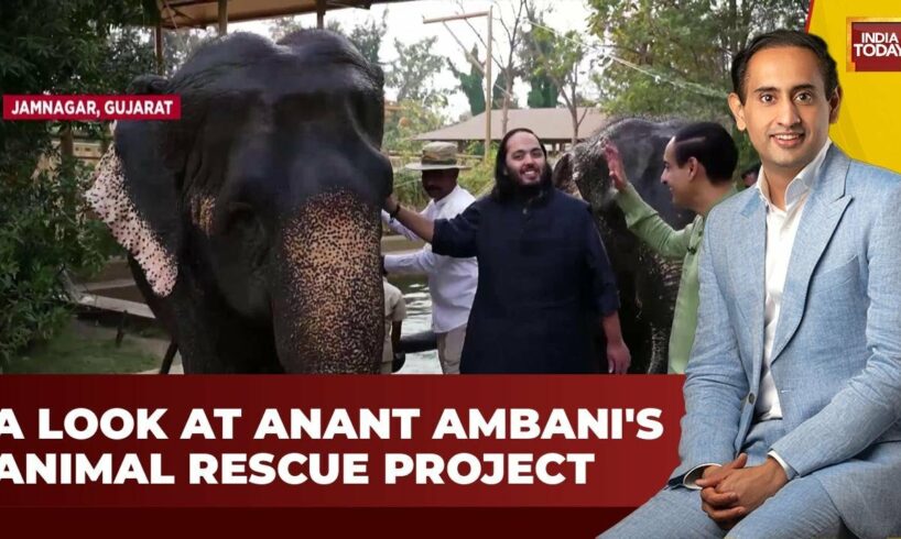 Anant Ambani's Animal Rescue Mission Unveiled on Jab We Met With Rahul Kanwal | India Today News