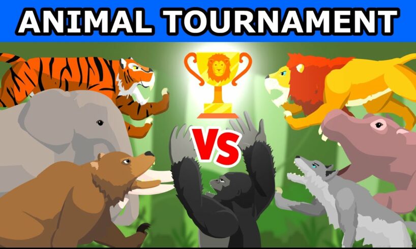 Animal Tournament Fights | Animal Tournament [S1] | Animal Animation