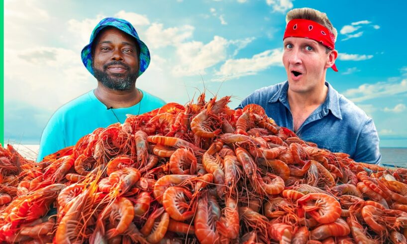 Catching 10,000 Shrimp for Shrimp & Grits!!