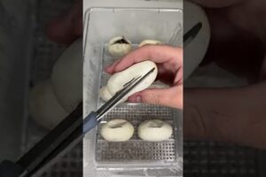 Cutting Open Python Eggs! *BABY SNAKES* #shorts #animals #reptiles #snakes #baby