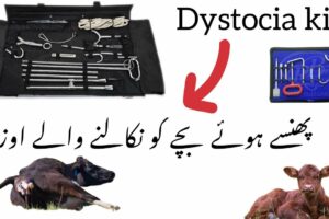 Dystocia kit and Obstetetrical instruments by Dr Rehman khan and Dr Mobeen khan 03337078824