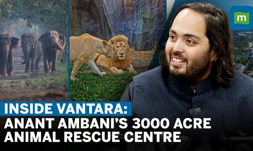 Inside Vantara: Anant Mukesh Ambani’s 3000 Acre Animal Rescue & Rehabilitation Centre | Interview