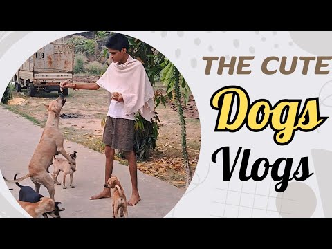 The cutest Puppy 🐶 with his Mother 🐕 | Very Funny puppies 😂 | @YRG19