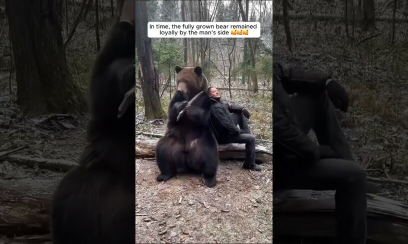 The man adopted an abandoned baby bear #shorts