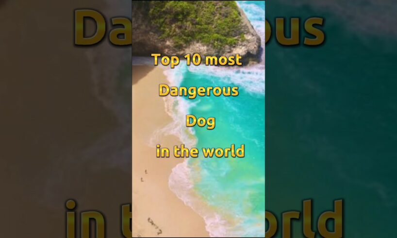 Top 10 most Dangerous Dog in the world#shorts #shot #ytshorts