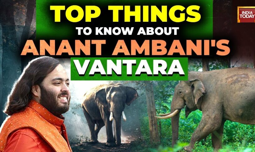 Why Anant Ambani built "Vantara", a 3,000 acre animal rescue and rehab centre?