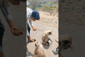 #animal help🥺🙏#pls#support 😔😳#viralvideo #trending #shorts