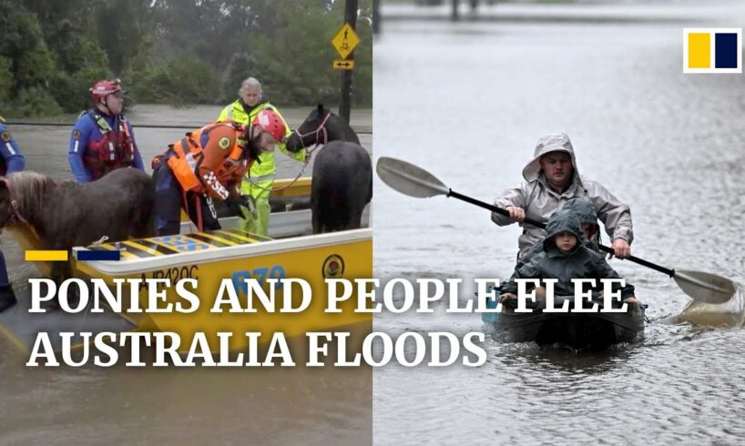 Animals rescued from Australia floods, thousands evacuated from Sydney