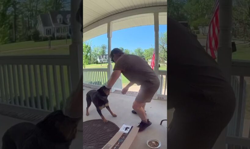 Dog becomes friends with the UPS delivery guy! 🤩❤️  -  🎥 Viralhog