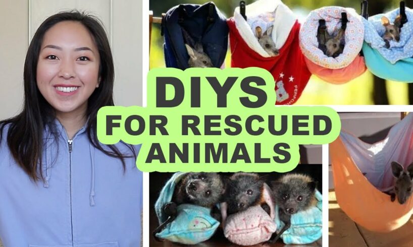 Sewing DIYs for Rescued Animals | Beds, bags, pouches, and wraps!