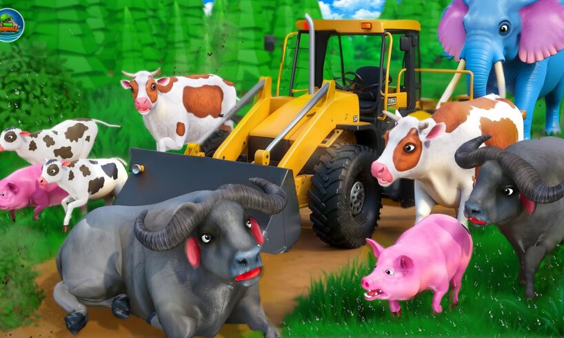 Transporting Farm Animals : Cow, Buffalo, Pig, Elephant, Gorilla | Animal Fights & Adventure Stories