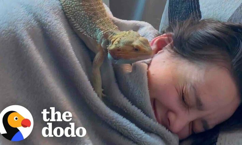 Woman Rescues A Bearded Dragon Thinking He Will Be Calm And Mellow...  | The Dodo