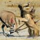 15 Scary Moments When Deadly Horns Crush Predators | Wild Animal Fights