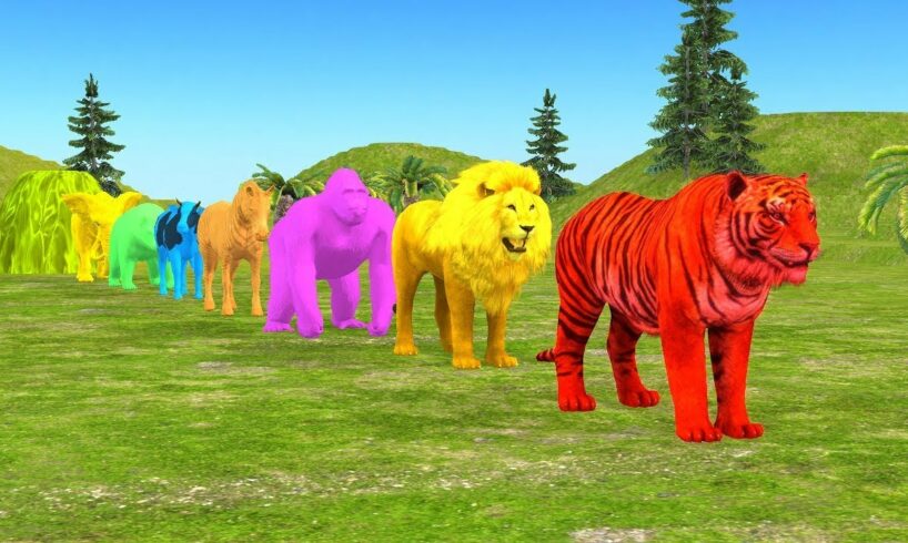 Long Slide Game With Elephant Gorilla Buffalo Hippopotamus Tiger - 3d Animal Game - Funny 3d Animals